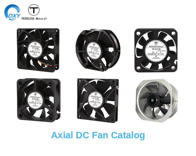 DXY Motors full product range